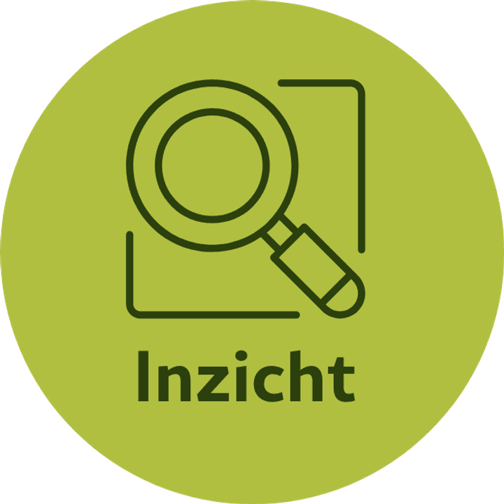 inzicht